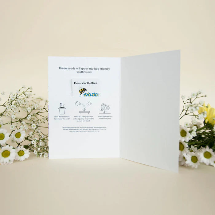 Seeded HAPPY BIRTHDAY TO YOU Card