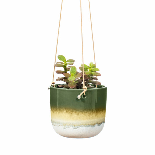 Mojave Hanging Planter - Green