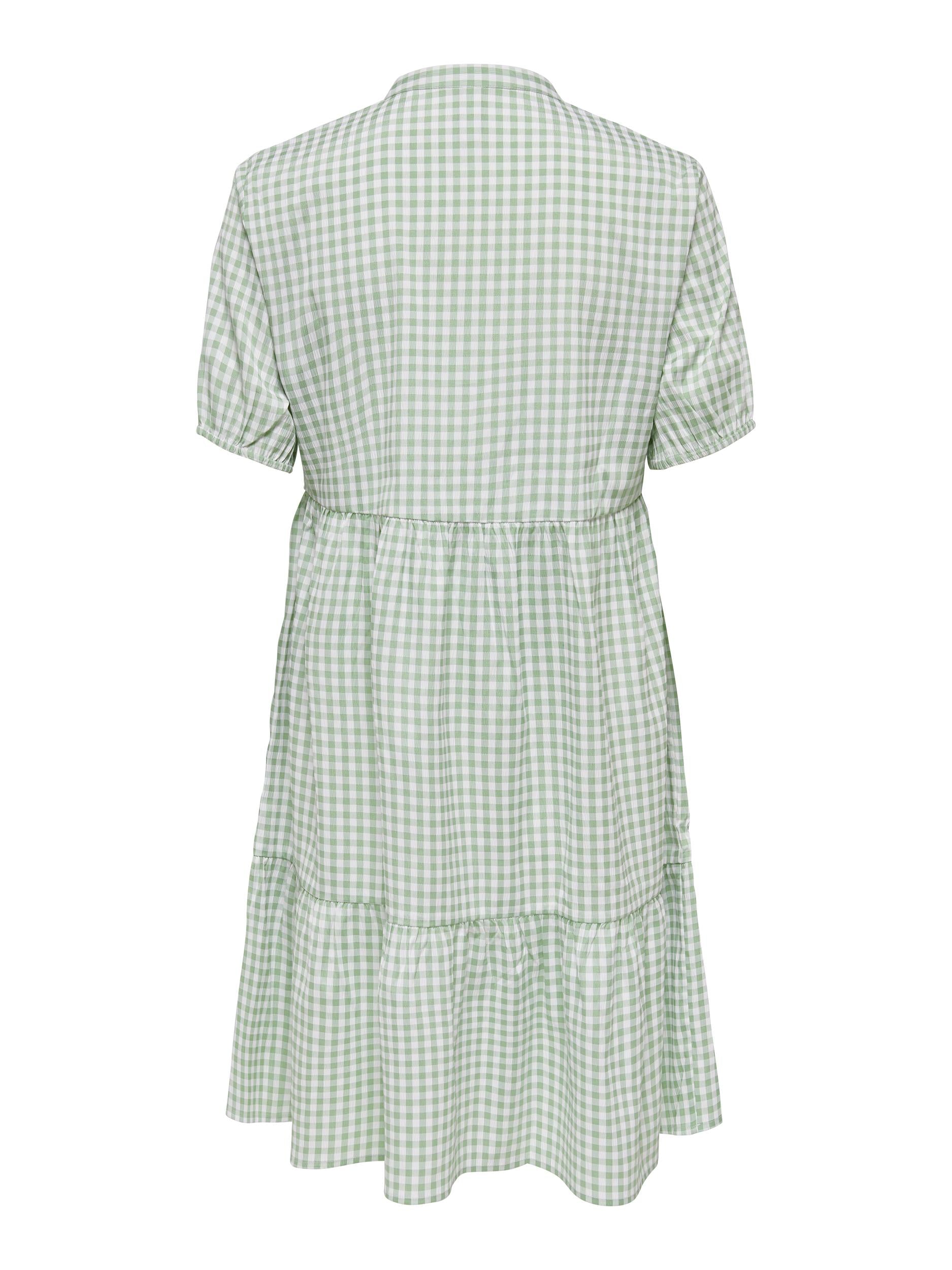 Gaby Short Sleeve Midi Dress Birds Egg Green Planet